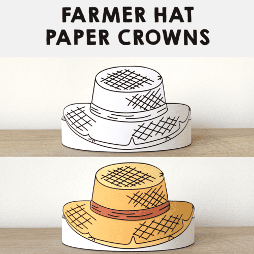 Who took the farmer's hat activities store